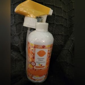 Scentsy Counter Cleaner Feelin Punchy Scent